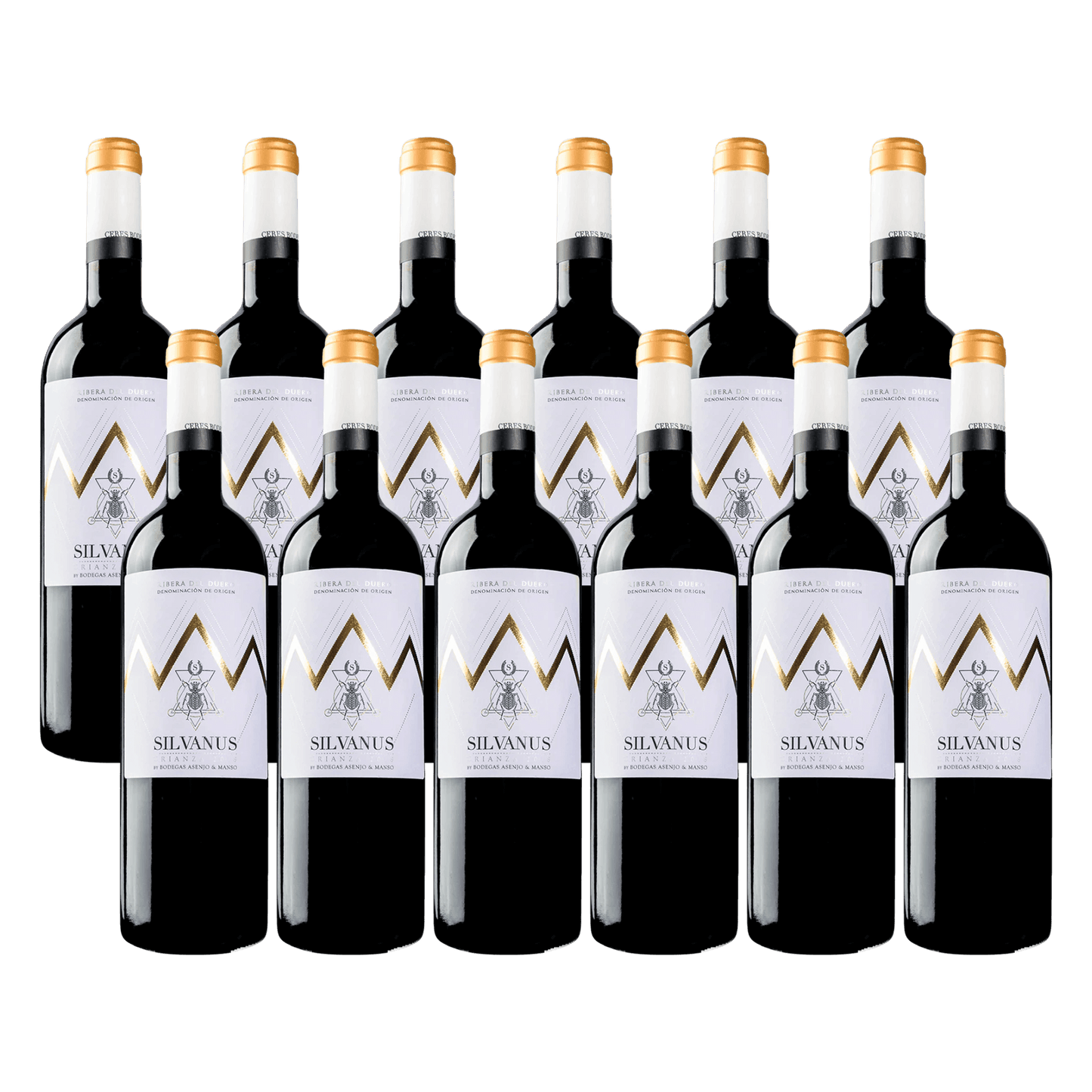 Bodegas Asenjo & Manso Silvanus 2022 Rødvin Red Wine 12 Whiskystack