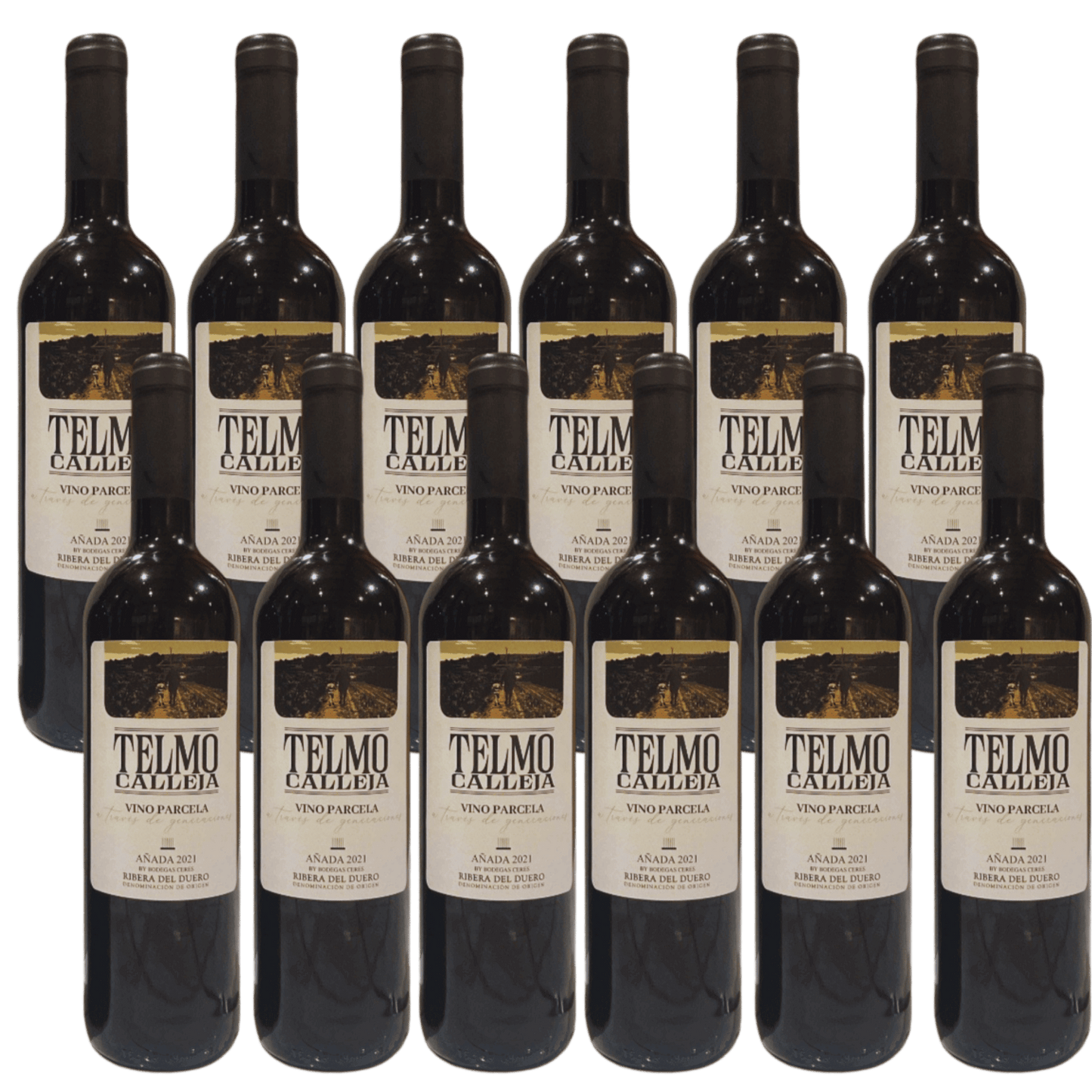 Telmo Calleja – Ribera del Duero 12 Flasker
