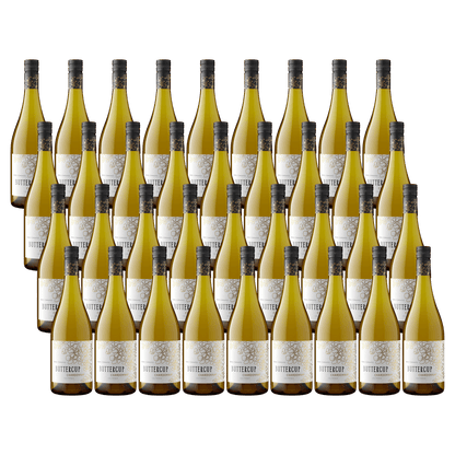 Buttercup Chardonnay 2024 Whiskystack 36 bottles