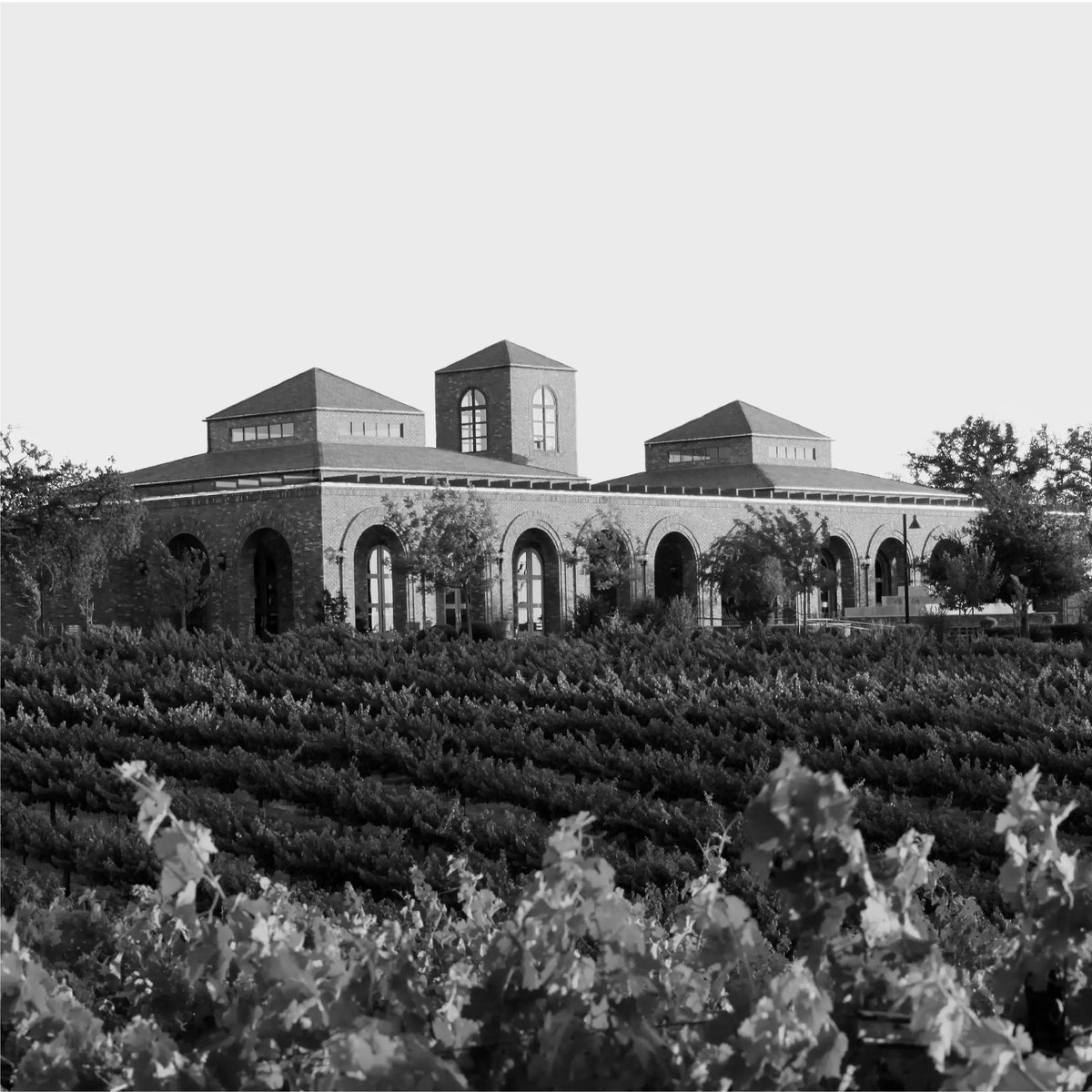 Rabble 2023 Cabernet Sauvignon 6 Flasker
