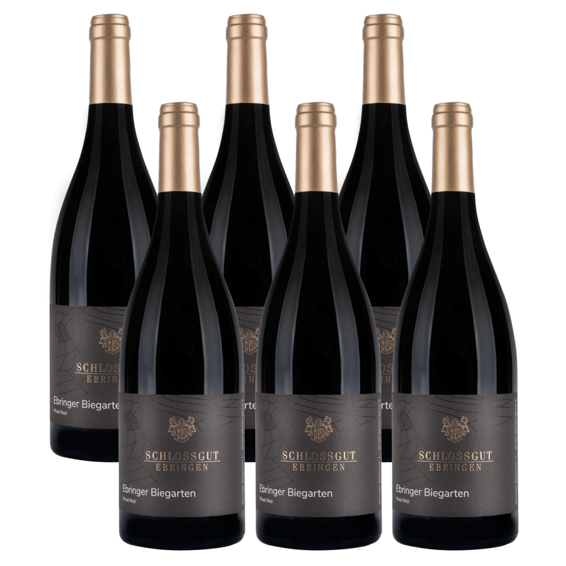 Schlossgut Ebringen Biegarten Pinot Noir 2023 6 pak Whiskystack